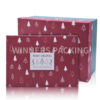 Luxury Design Printed Packaging Boxes Custom Logo/Paper Gift Box - Image 3