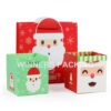 Customized Eco-Friendly Recycled Christmas Paper Bag – Sustainable Holiday Packaging