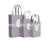 Custom Retail Paper Gift Bags with Handles – Logo Printed Shopping Packaging - Image 2