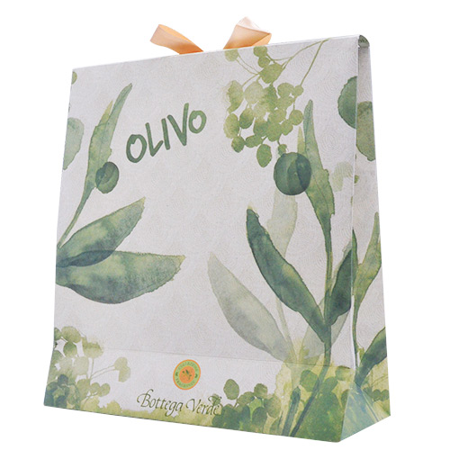 Custom Fancy Luxury Paper Gift Bag
