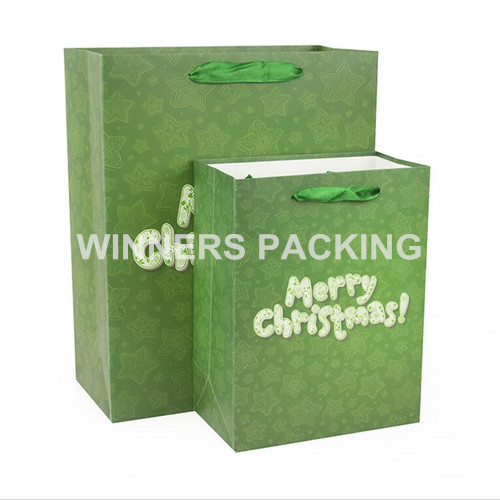 New Design Custom Printed Christmas Paper Bag