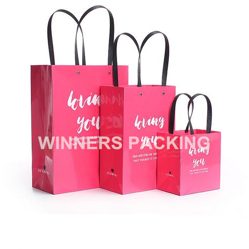 Colorful printed recycled gift paper bag